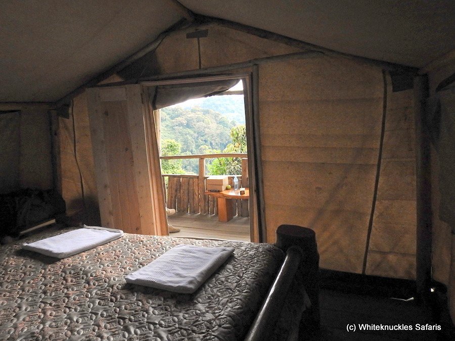 Kibale Forest Camp