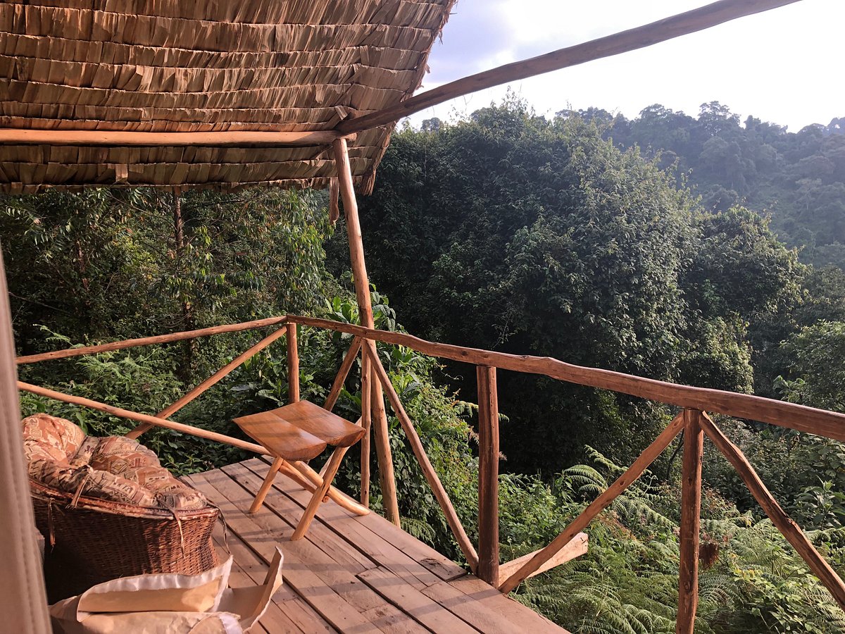 Kibale Forest Camp