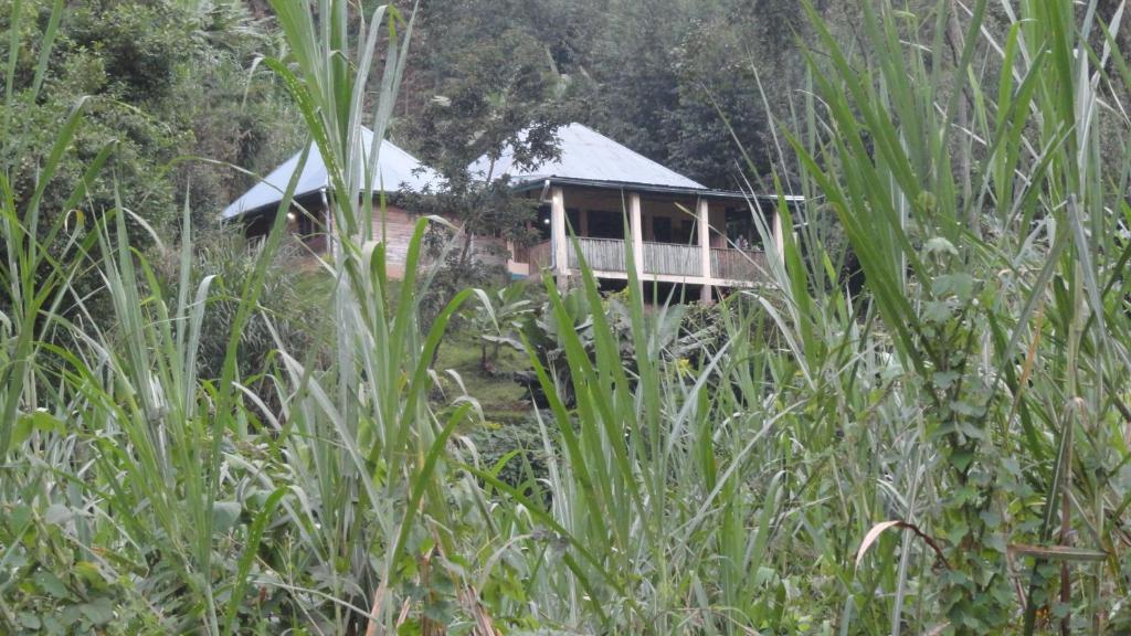 Kibale Forest Camp